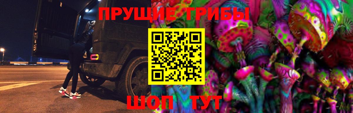 Псилоцибиновые грибы мицелий Кыштым